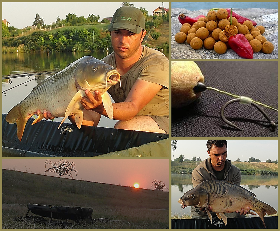 Moments... - fghfhgfhgfhfghfghhfg.png